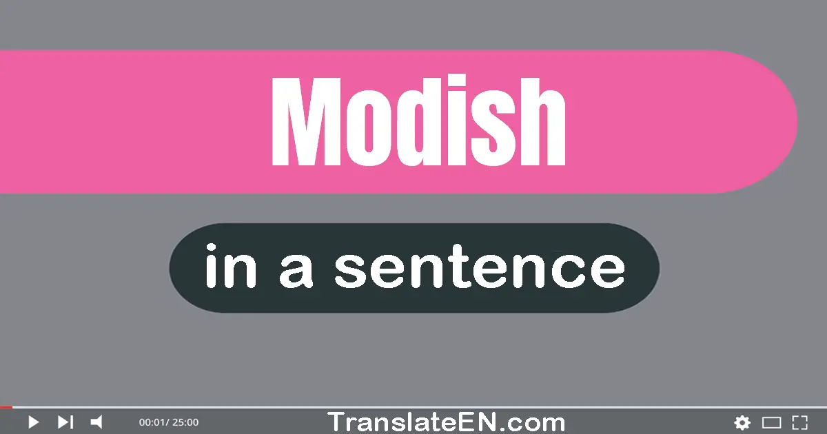 Use "modish" in a sentence | "modish" sentence examples