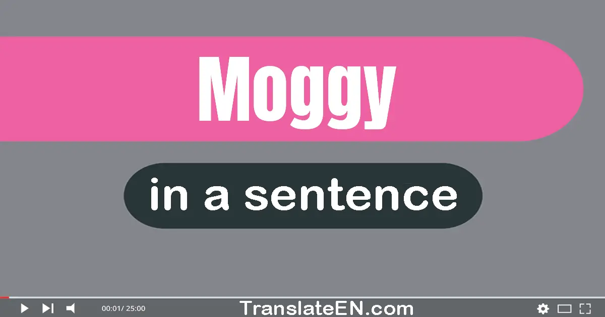 Use "moggy" in a sentence | "moggy" sentence examples