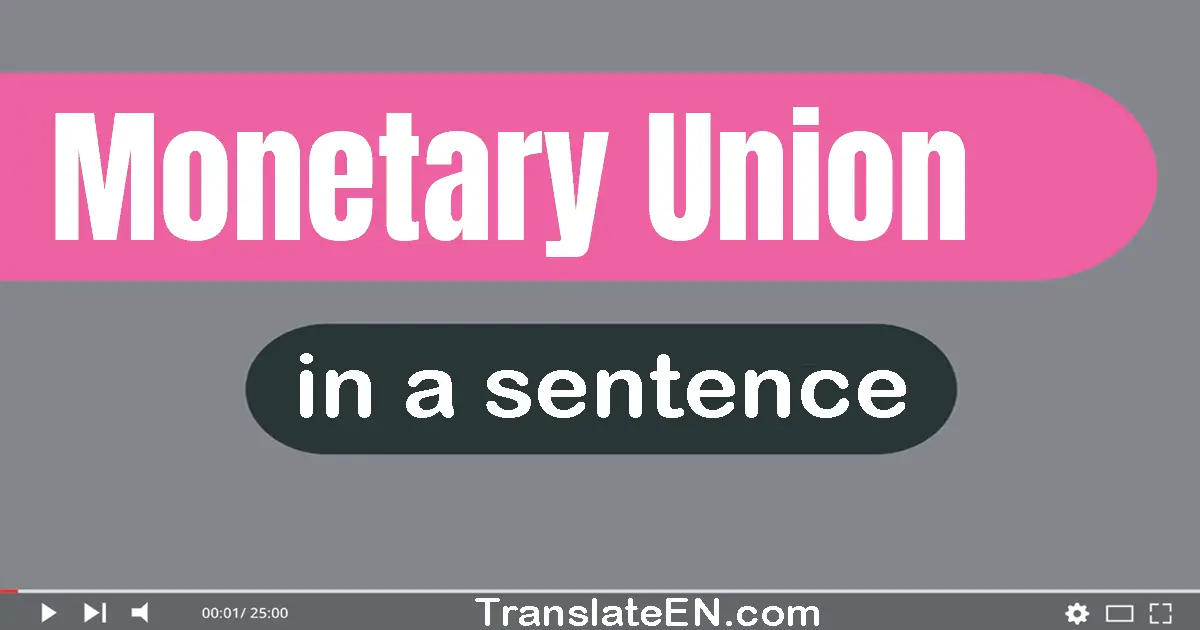 Use "monetary union" in a sentence | "monetary union" sentence examples