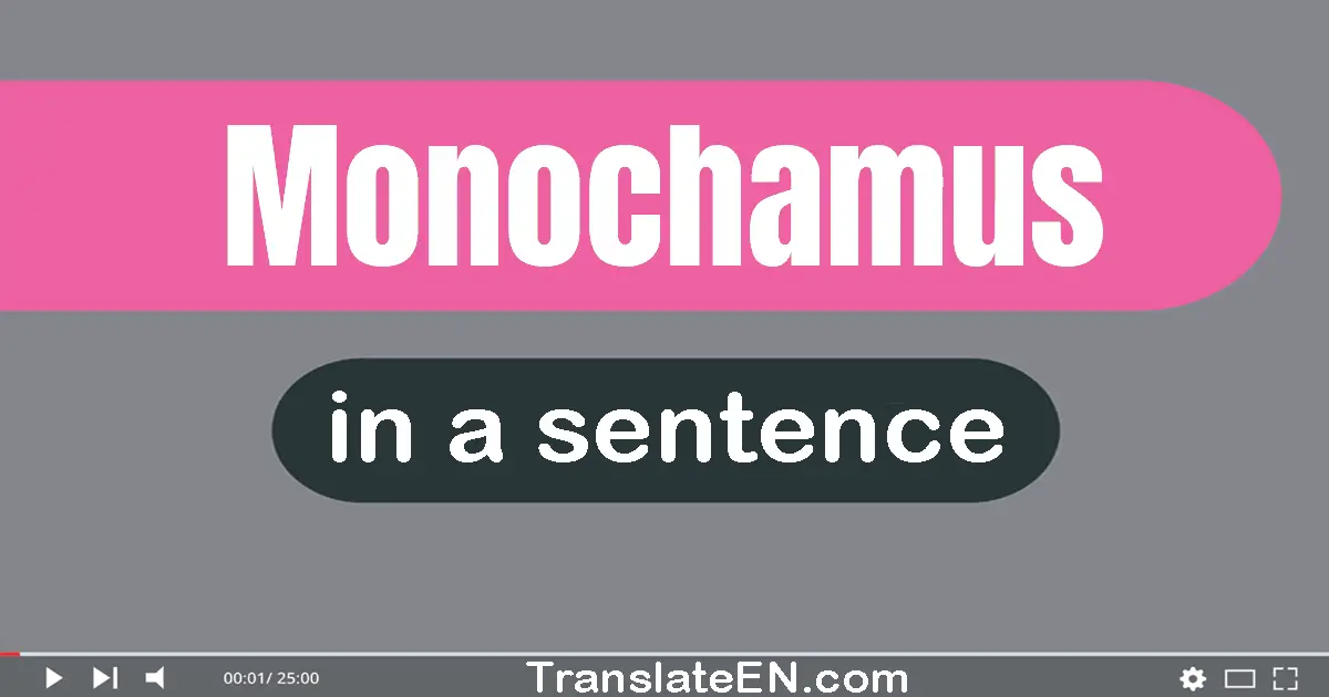 Use "monochamus" in a sentence | "monochamus" sentence examples