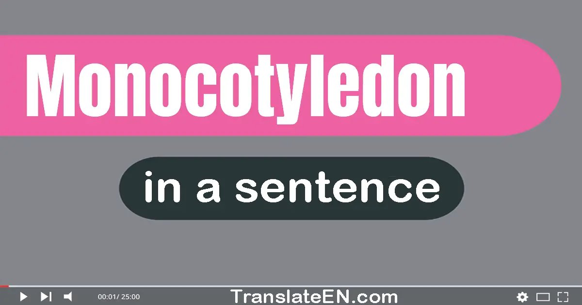 Use "monocotyledon" in a sentence | "monocotyledon" sentence examples