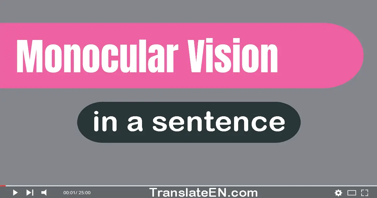 Use "monocular vision" in a sentence | "monocular vision" sentence examples