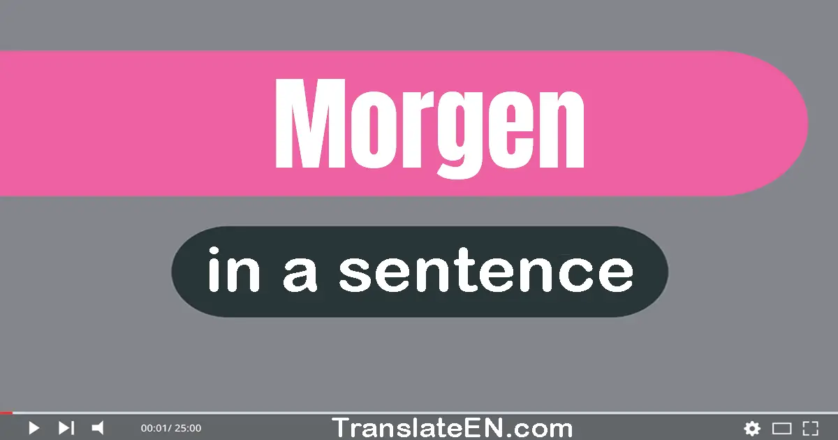 Use "morgen" in a sentence | "morgen" sentence examples