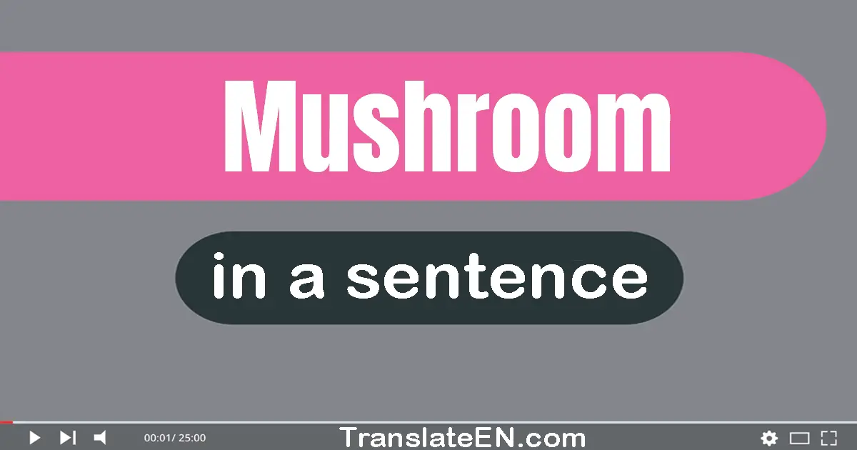 Use "mushroom" in a sentence | "mushroom" sentence examples