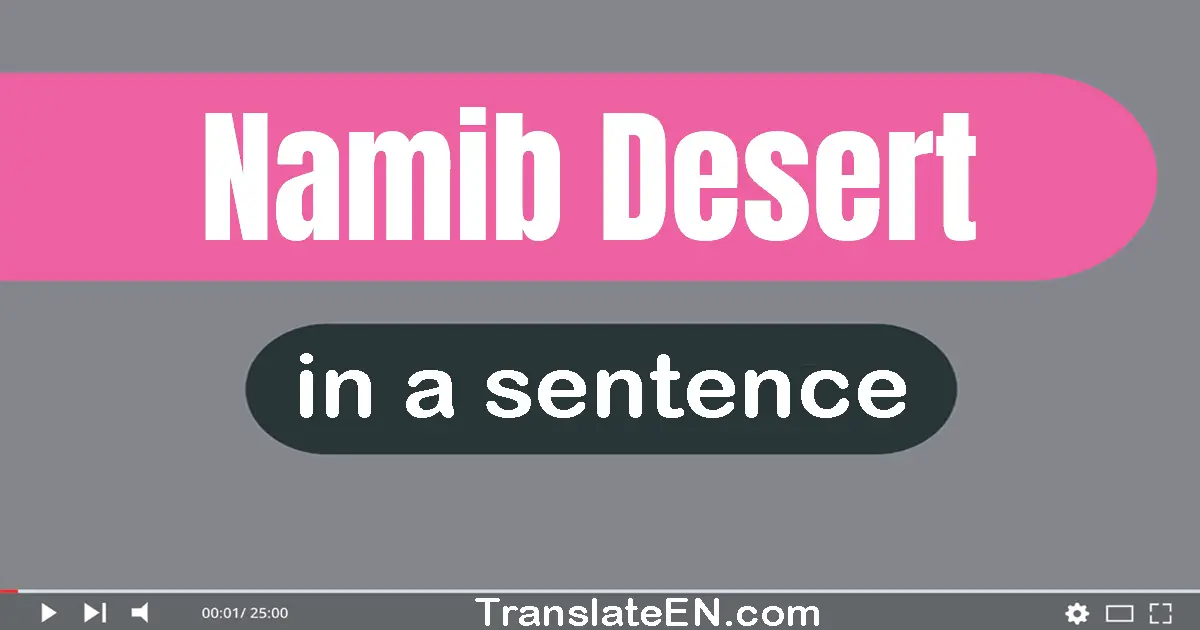 Use "namib desert" in a sentence | "namib desert" sentence examples