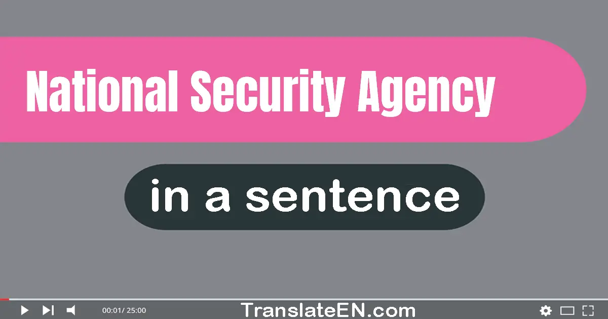 Use "national security agency" in a sentence | "national security agency" sentence examples