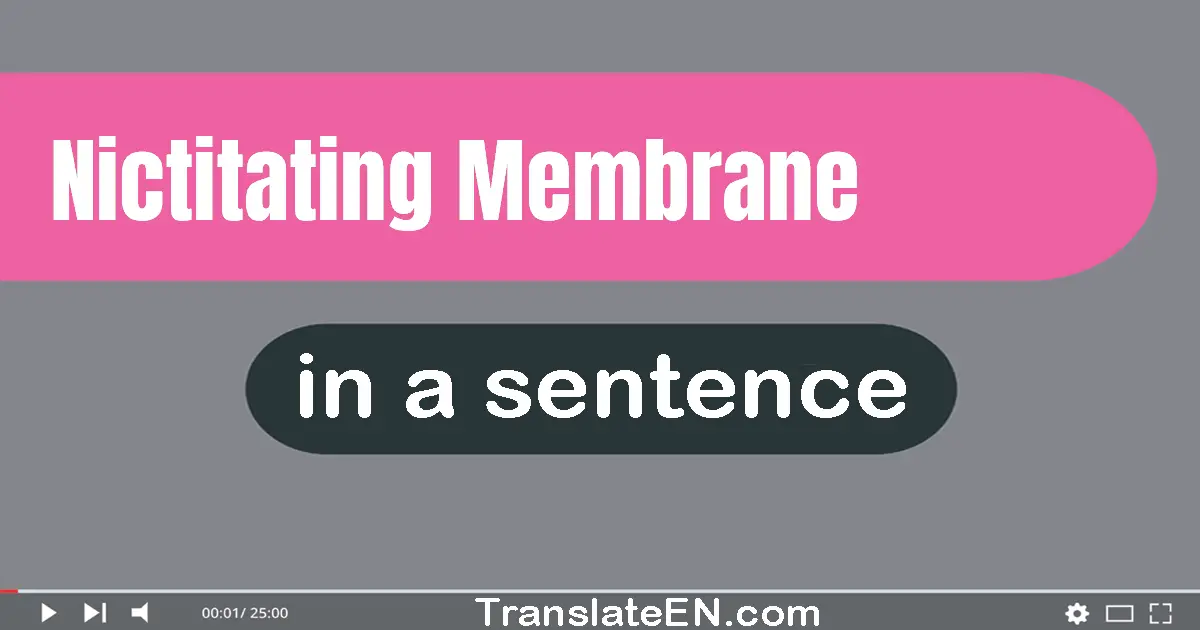 Use "nictitating membrane" in a sentence | "nictitating membrane" sentence examples