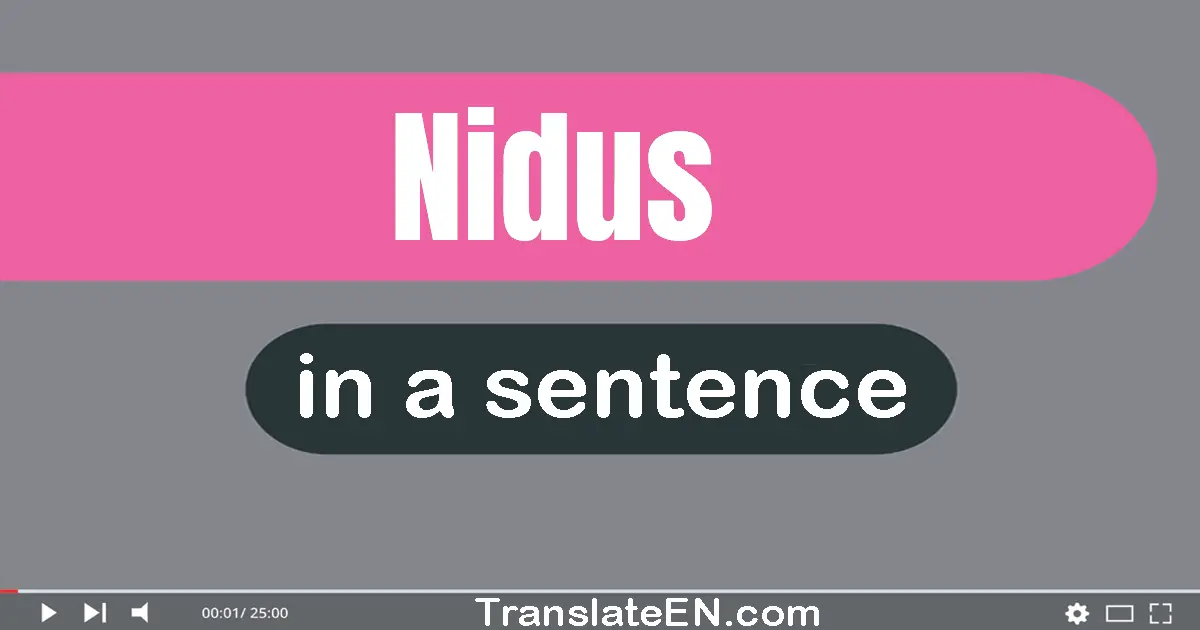 Use "nidus" in a sentence | "nidus" sentence examples