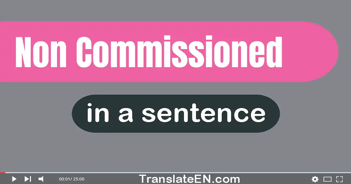 Use "non-commissioned" in a sentence | "non-commissioned" sentence examples