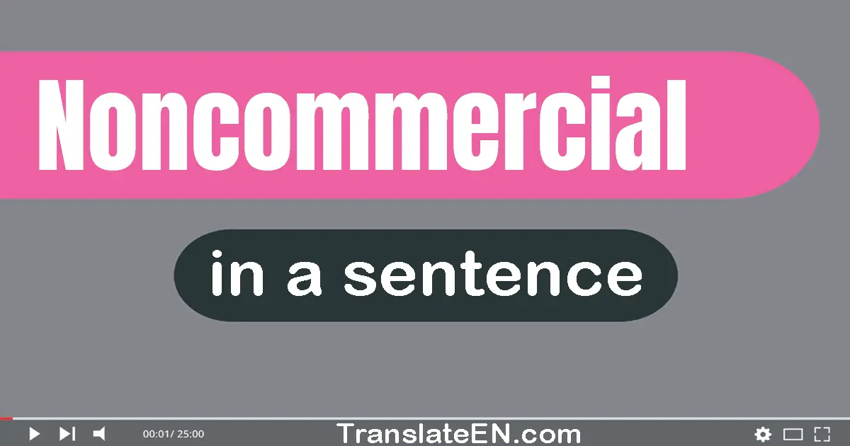 Use "noncommercial" in a sentence | "noncommercial" sentence examples
