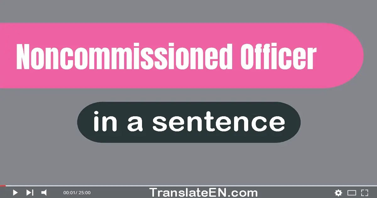 Use "noncommissioned officer" in a sentence | "noncommissioned officer" sentence examples
