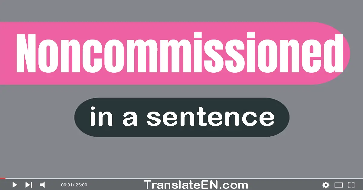 Use "noncommissioned" in a sentence | "noncommissioned" sentence examples