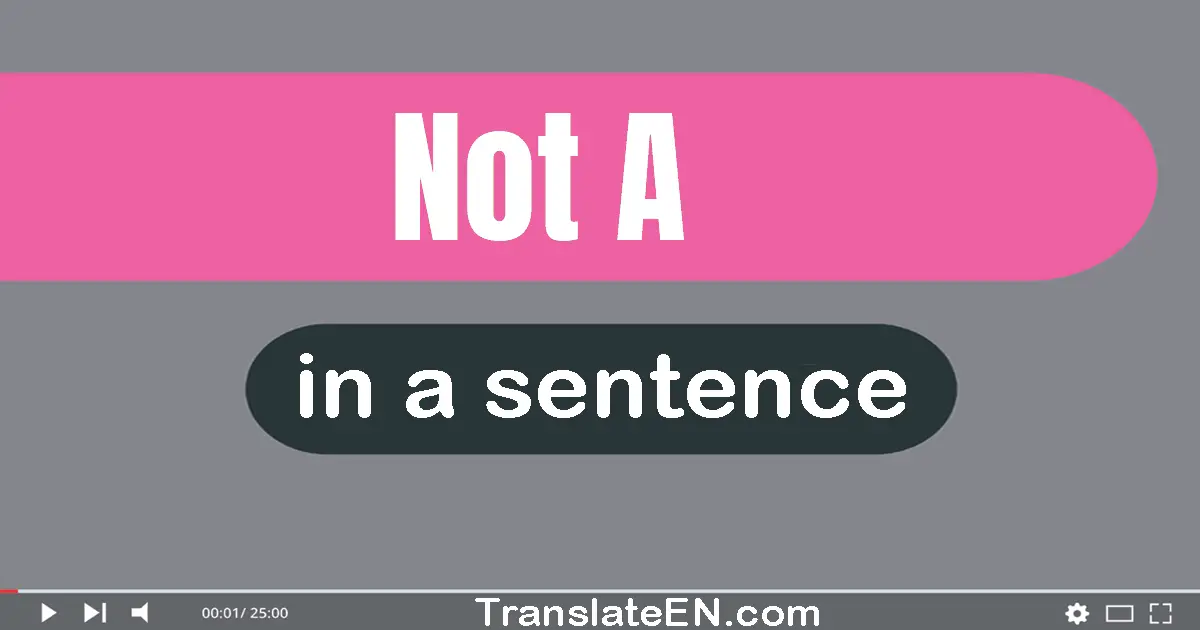 Use "not a" in a sentence | "not a" sentence examples