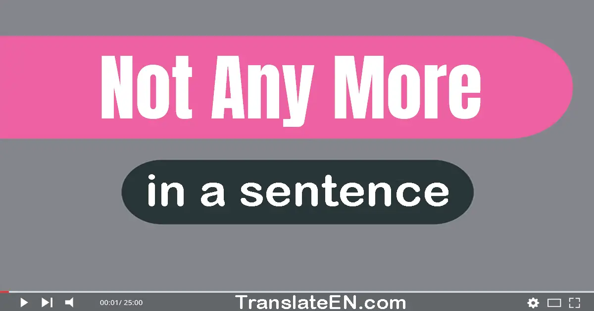 Use "not any more" in a sentence | "not any more" sentence examples
