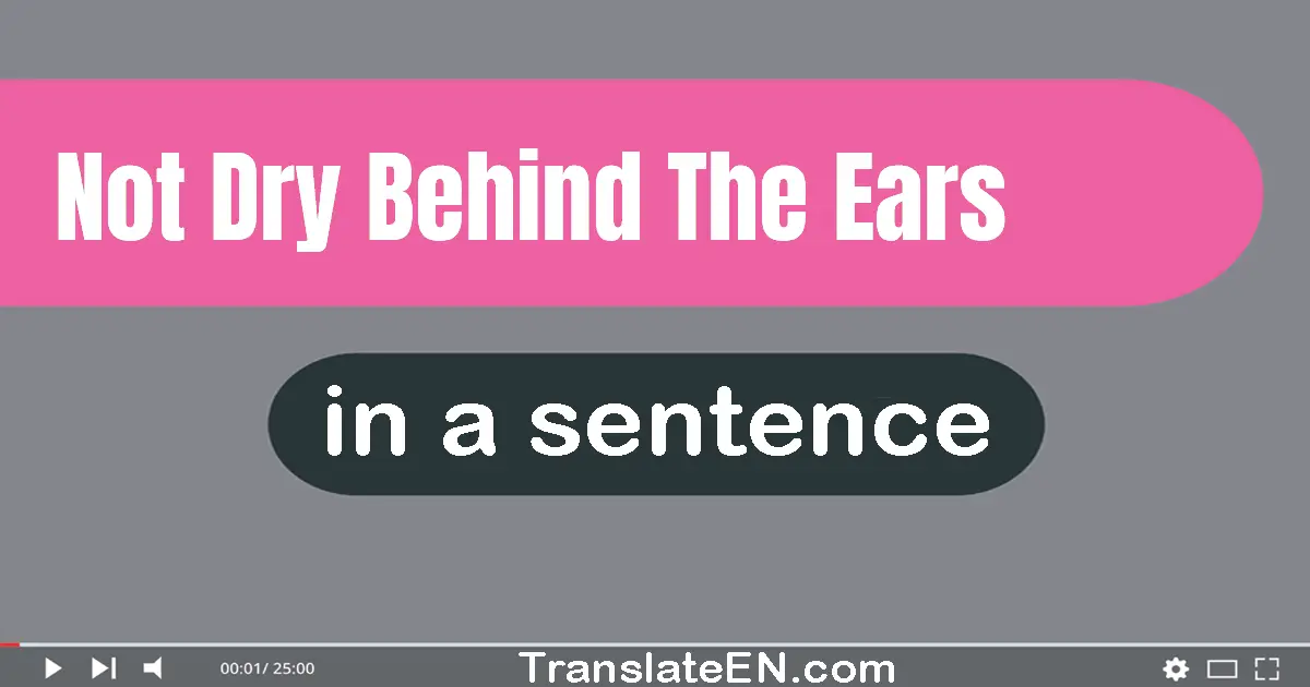 Use "not dry behind the ears" in a sentence | "not dry behind the ears" sentence examples