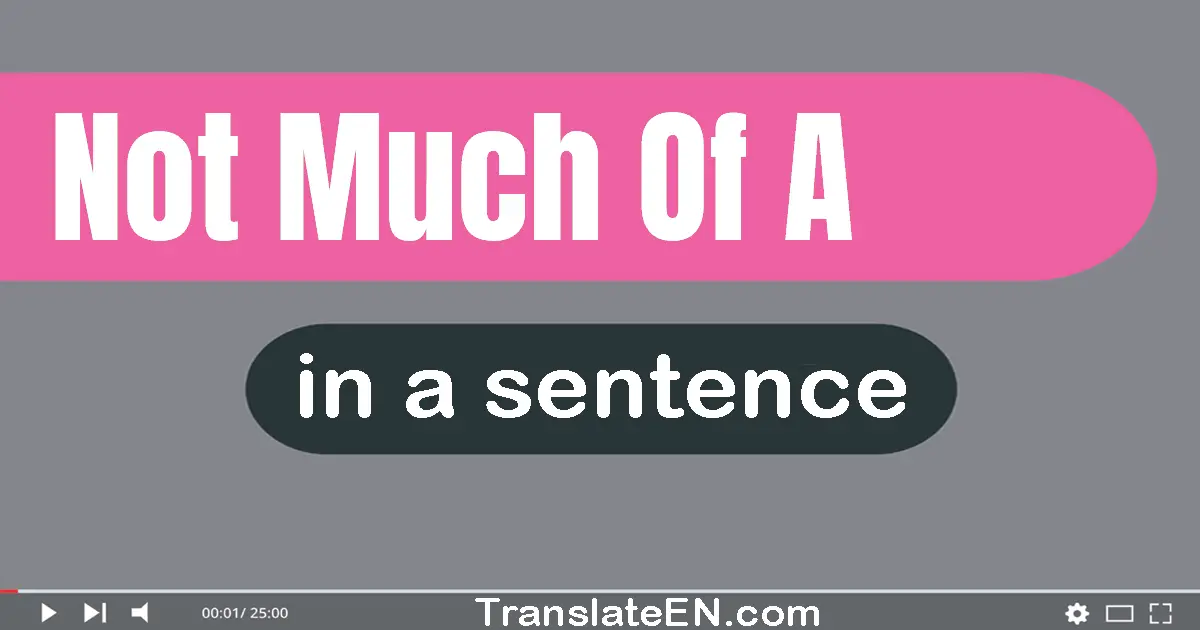 Use "not much of a" in a sentence | "not much of a" sentence examples