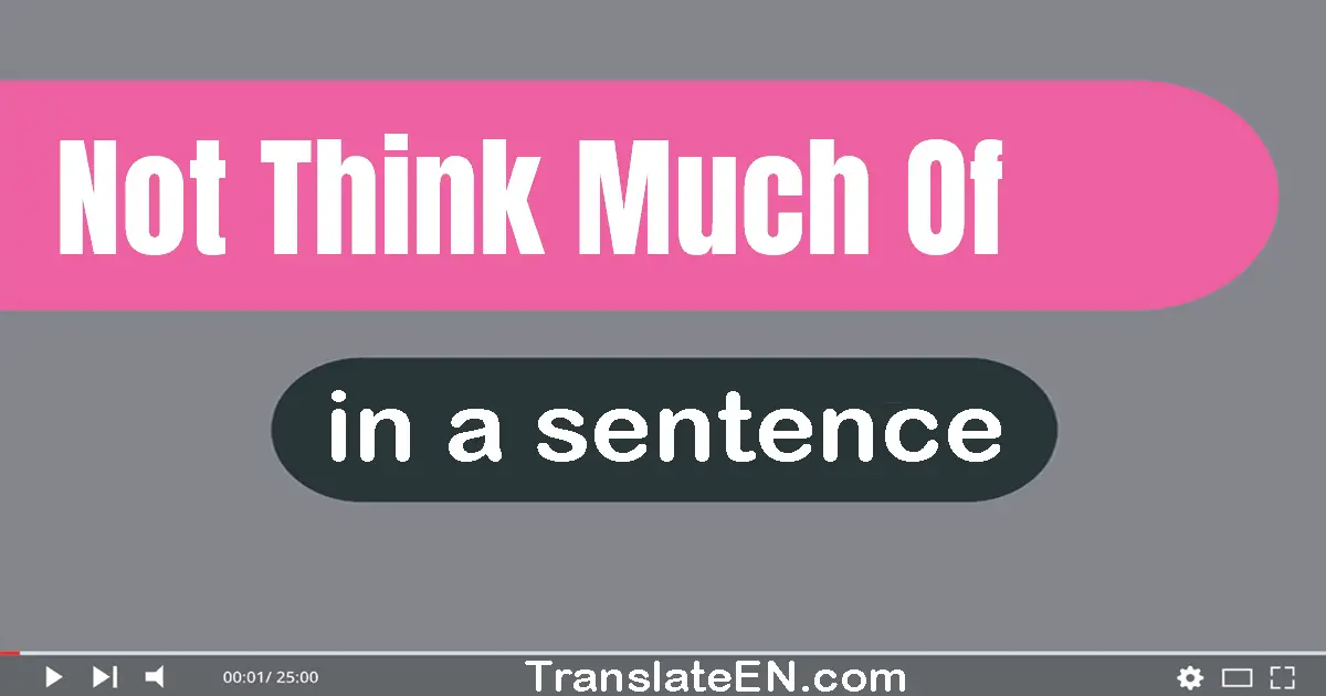Use "not think much of" in a sentence | "not think much of" sentence examples