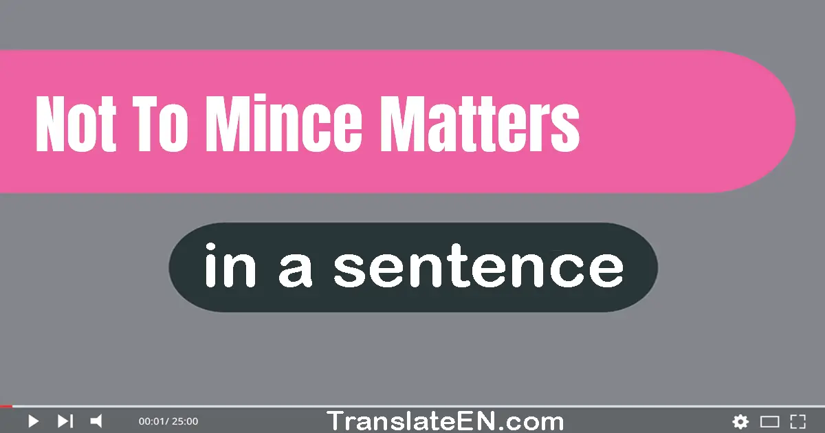 Use "not to mince matters" in a sentence | "not to mince matters" sentence examples