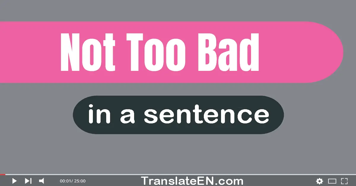 Use "not too bad" in a sentence | "not too bad" sentence examples