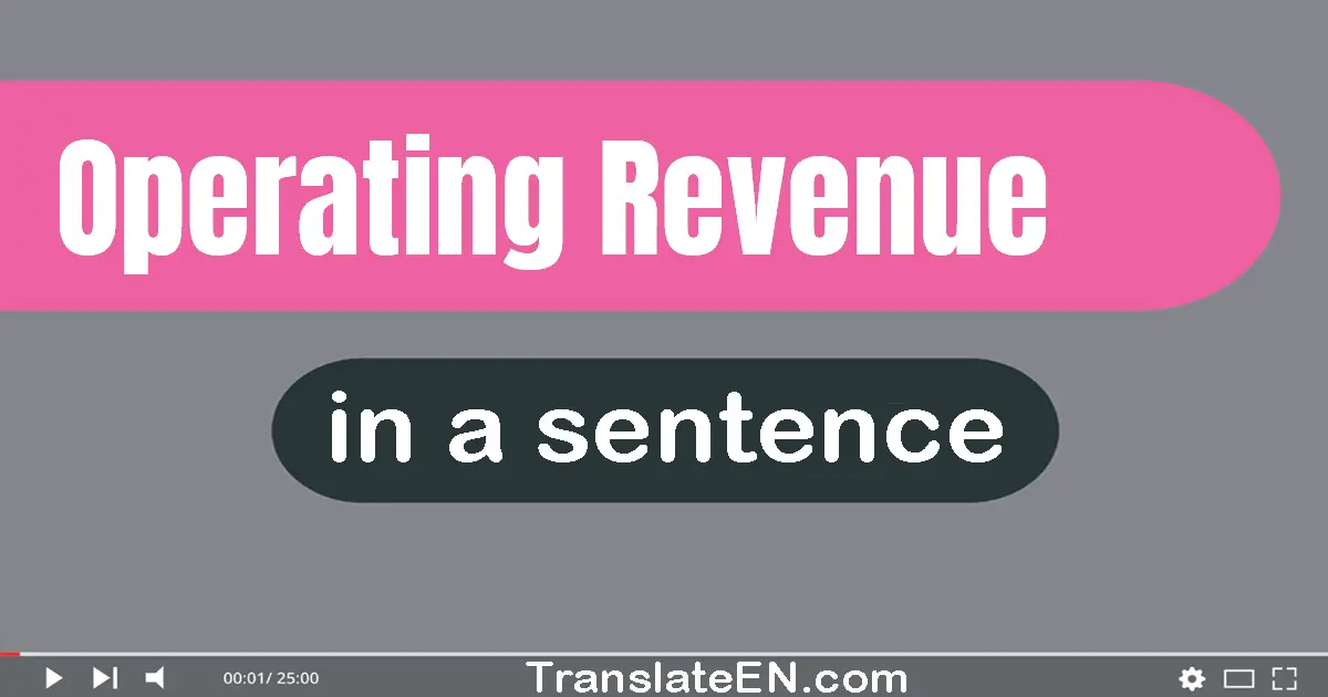 Use "operating revenue" in a sentence | "operating revenue" sentence examples