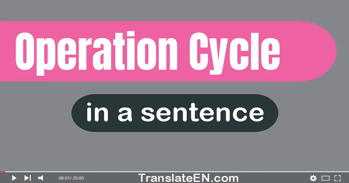 Use "operation cycle" in a sentence | "operation cycle" sentence examples
