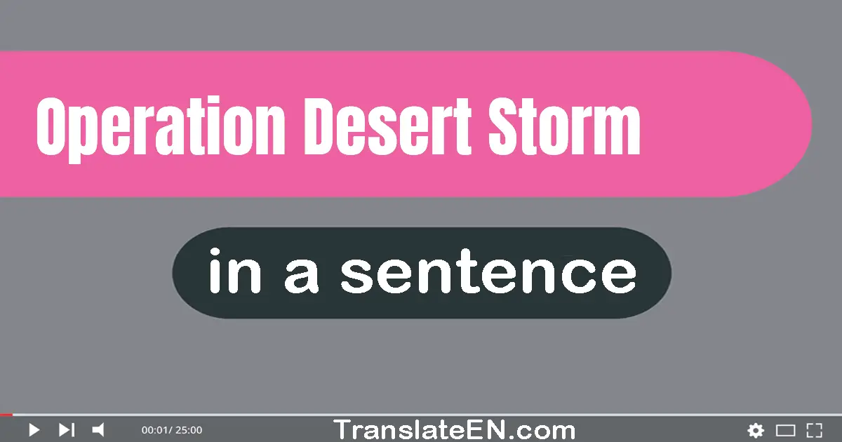 Use "operation desert storm" in a sentence | "operation desert storm" sentence examples