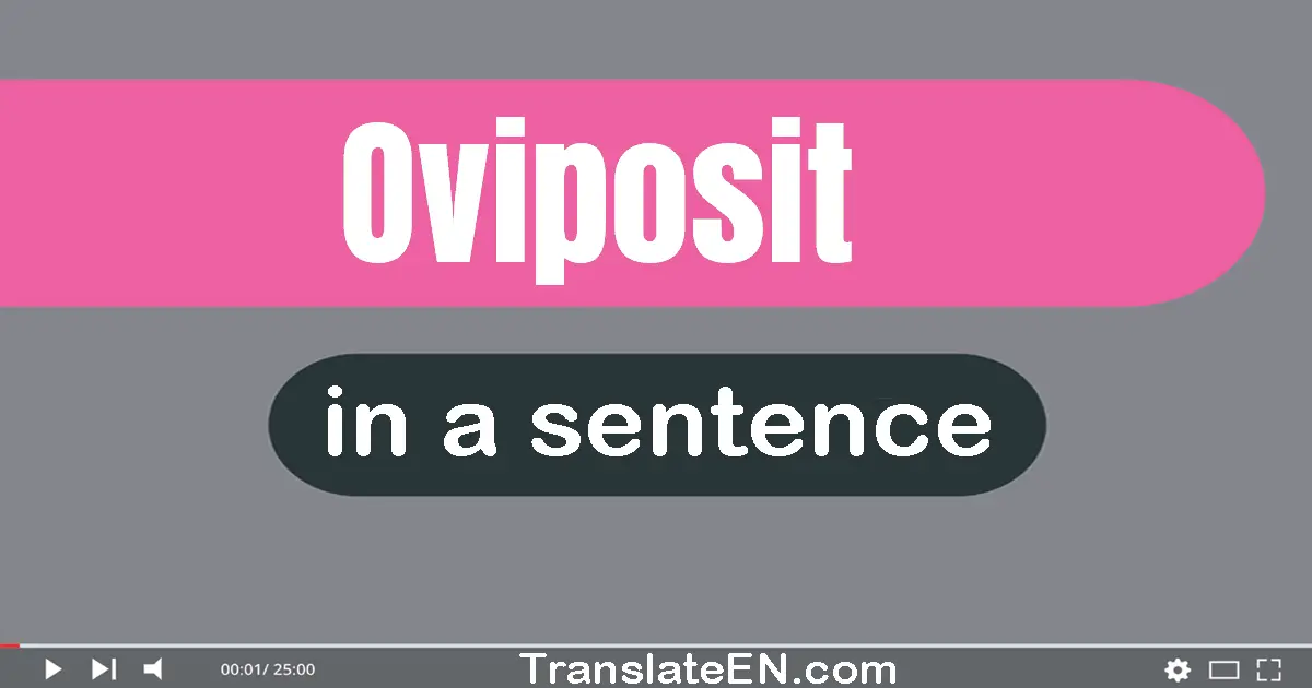 Use "oviposit" in a sentence | "oviposit" sentence examples