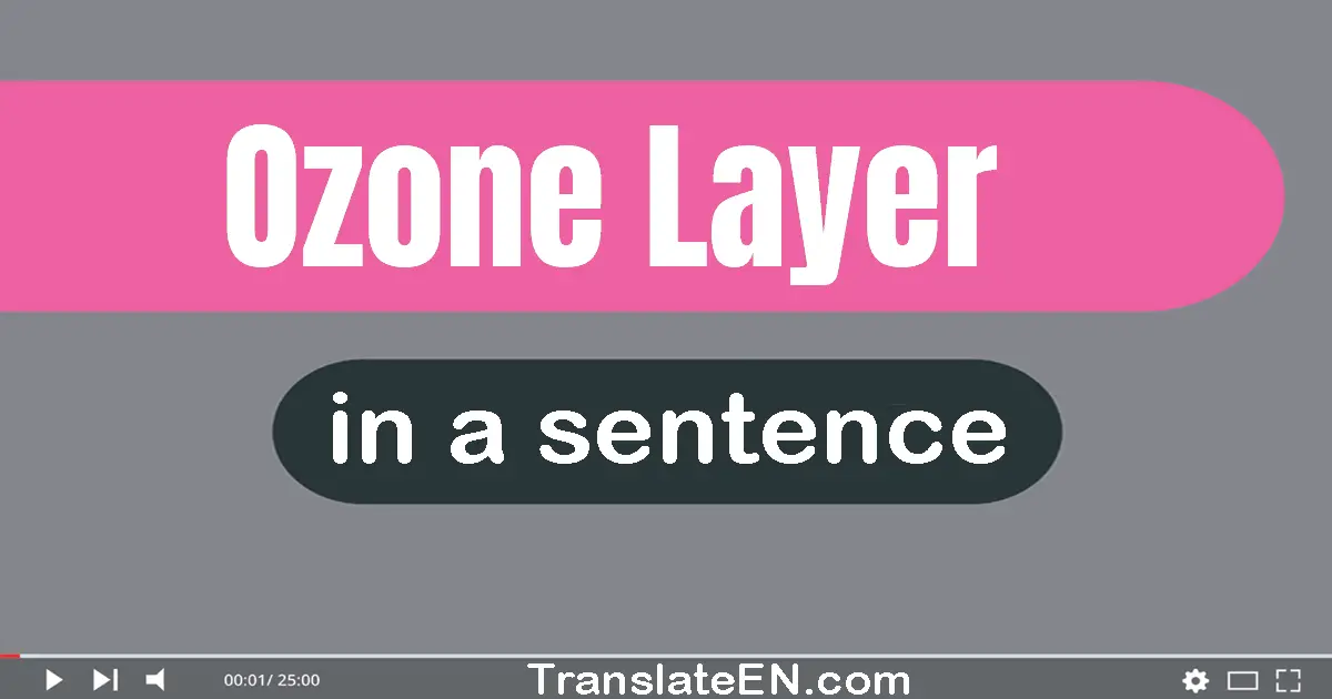 Use "ozone layer" in a sentence | "ozone layer" sentence examples