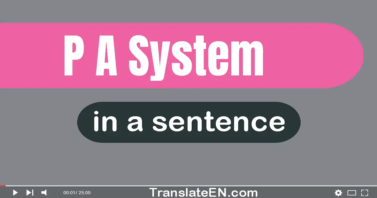 Use "p.a. system" in a sentence | "p.a. system" sentence examples