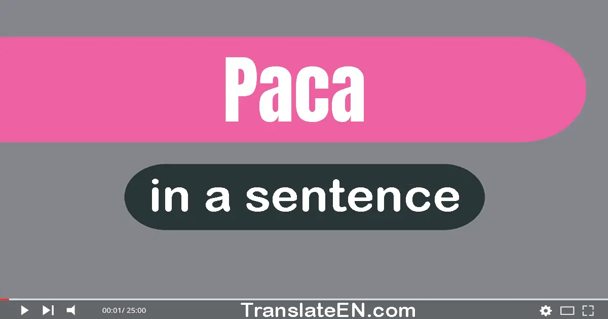 Use "paca" in a sentence | "paca" sentence examples