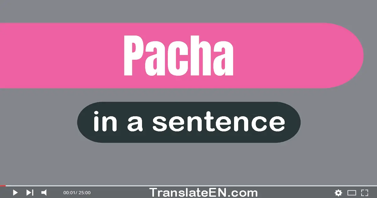 Use "pacha" in a sentence | "pacha" sentence examples