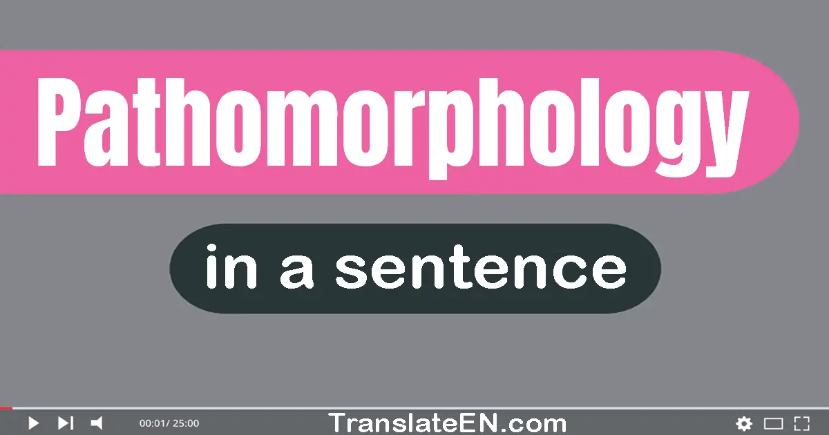 Use "pathomorphology" in a sentence | "pathomorphology" sentence examples