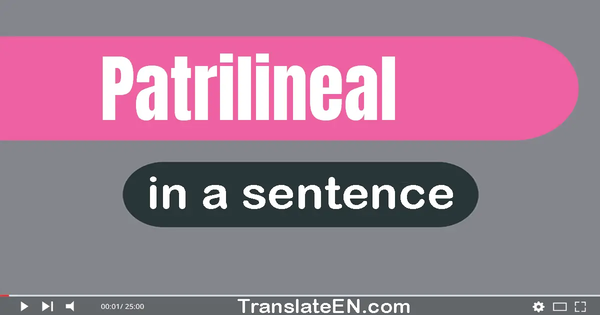 Use "patrilineal" in a sentence | "patrilineal" sentence examples