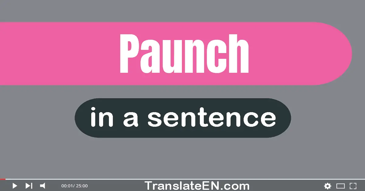 Use "paunch" in a sentence | "paunch" sentence examples