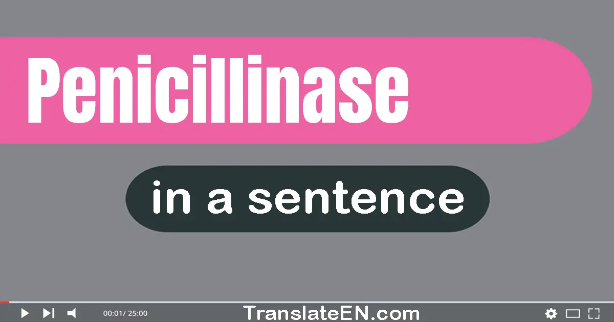 Use "penicillinase" in a sentence | "penicillinase" sentence examples