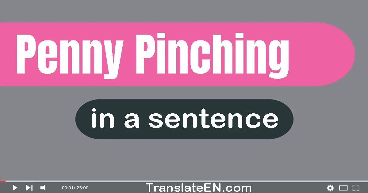 Use "penny-pinching" in a sentence | "penny-pinching" sentence examples