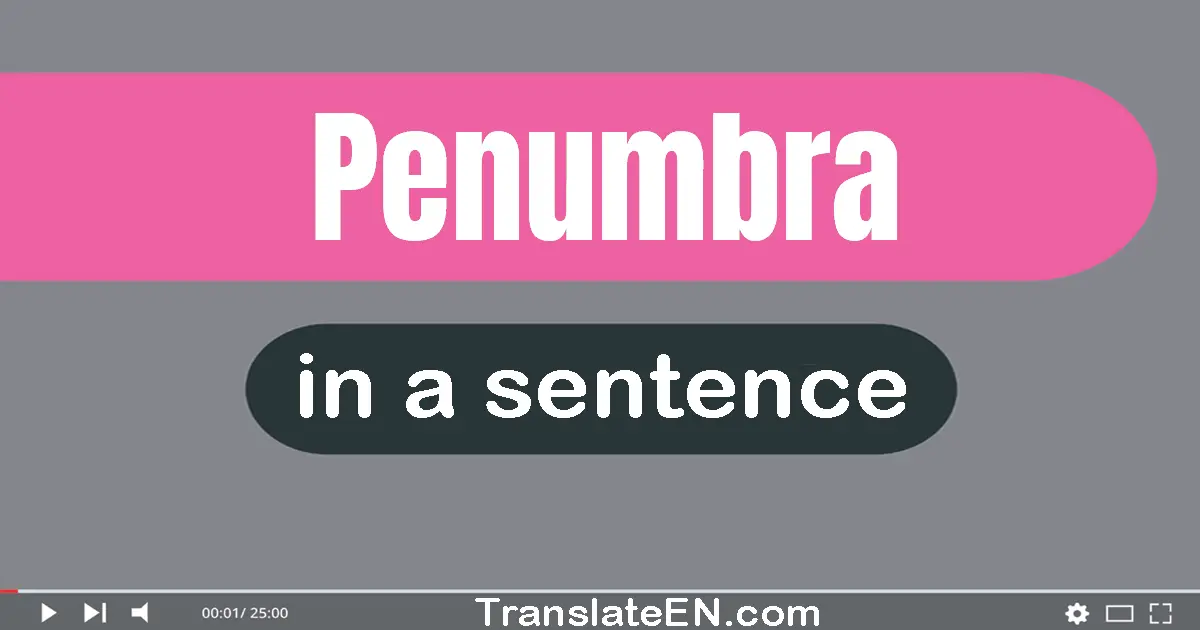 Use "penumbra" in a sentence | "penumbra" sentence examples