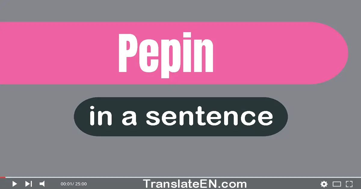 Use "pepin" in a sentence | "pepin" sentence examples