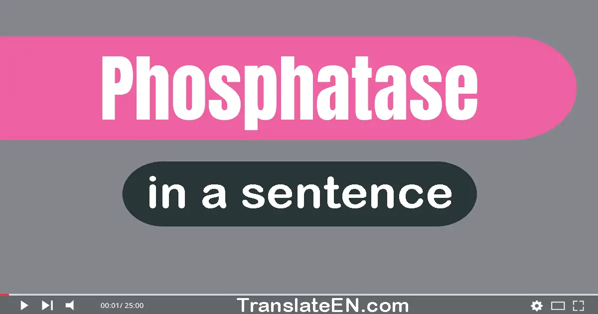 Use "phosphatase" in a sentence | "phosphatase" sentence examples