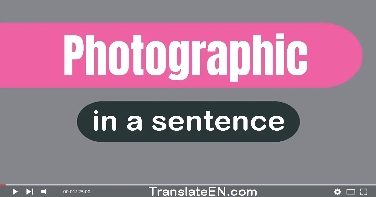 Use "photographic" in a sentence | "photographic" sentence examples