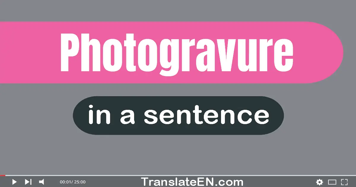 Use "photogravure" in a sentence | "photogravure" sentence examples