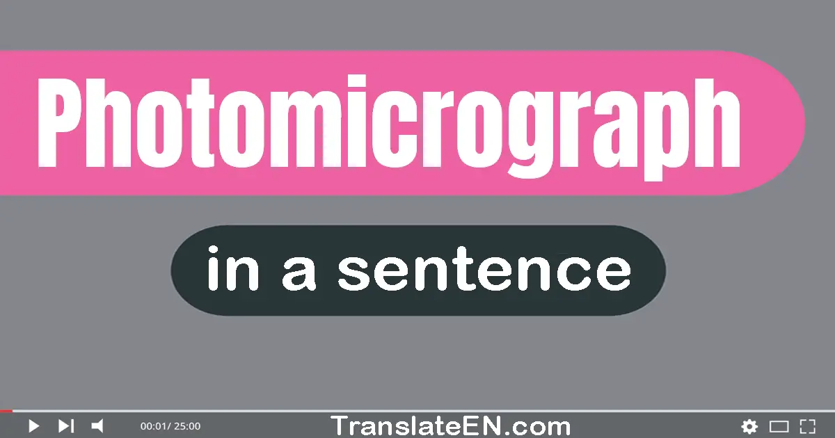 Use "photomicrograph" in a sentence | "photomicrograph" sentence examples