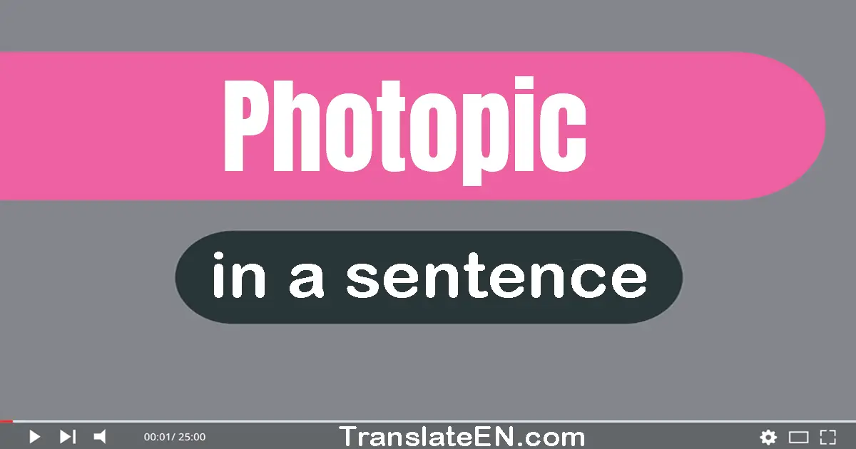 Use "photopic" in a sentence | "photopic" sentence examples