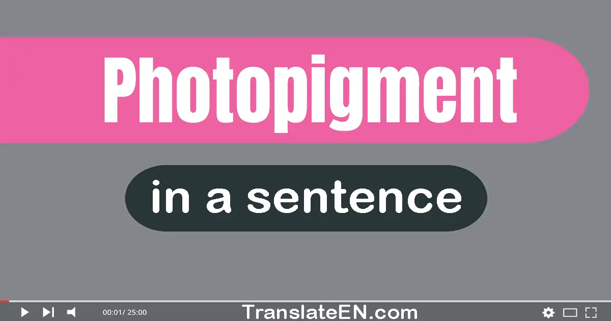 Use "photopigment" in a sentence | "photopigment" sentence examples