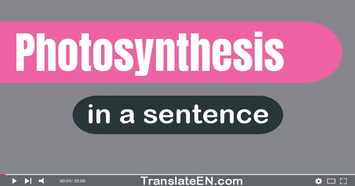 Use "photosynthesis" in a sentence | "photosynthesis" sentence examples