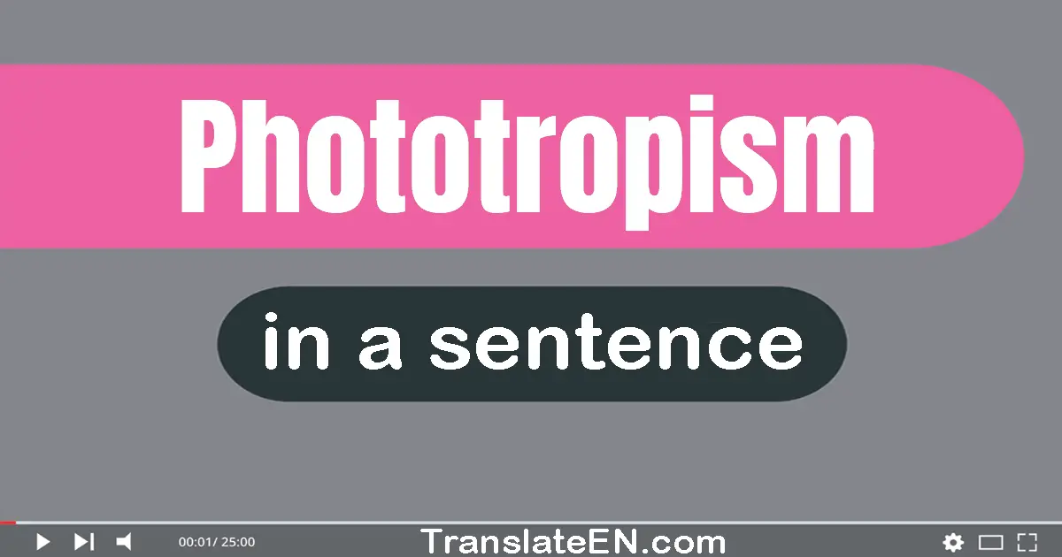 Use "phototropism" in a sentence | "phototropism" sentence examples