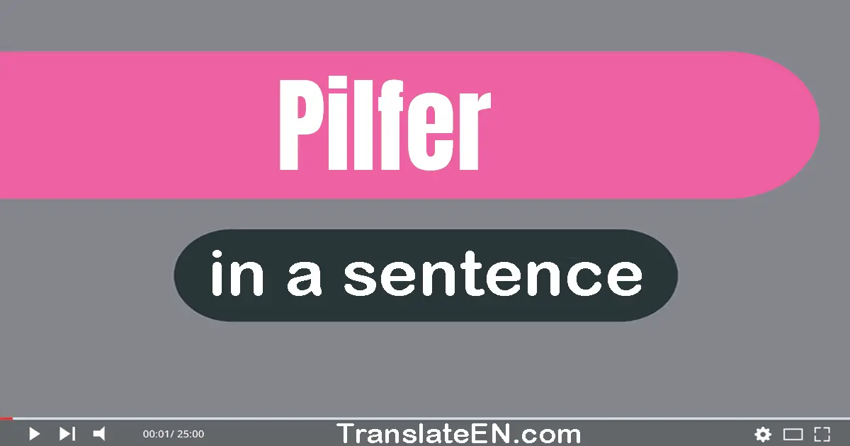 Use "pilfer" in a sentence | "pilfer" sentence examples