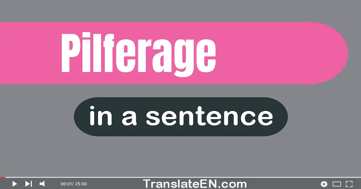 Use "pilferage" in a sentence | "pilferage" sentence examples