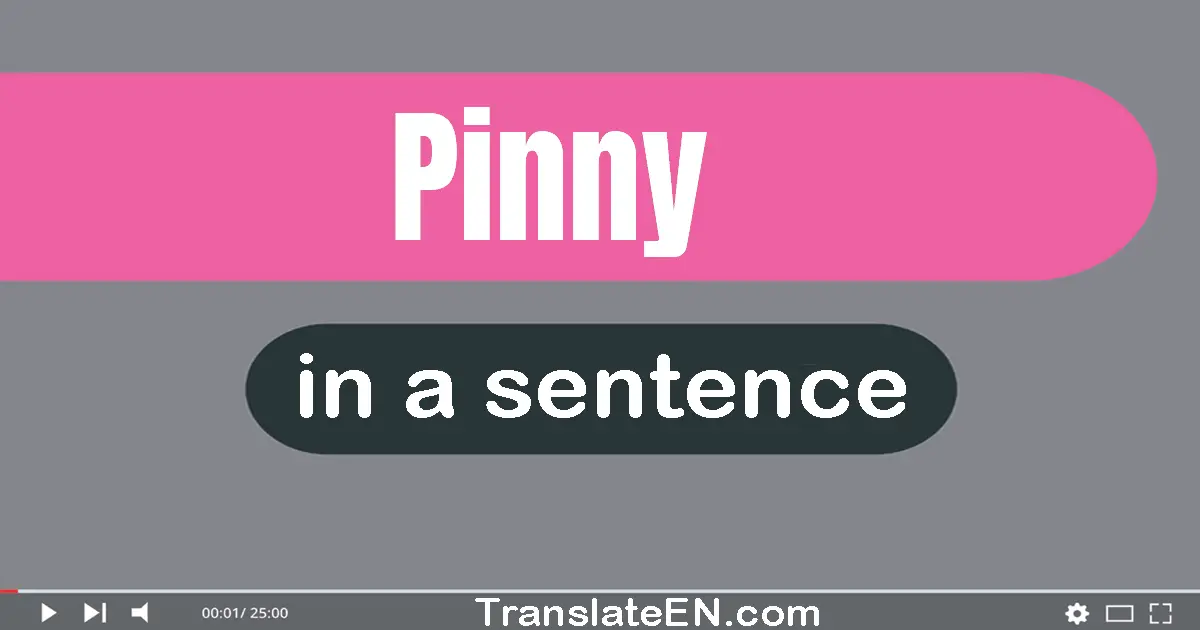 Use "pinny" in a sentence | "pinny" sentence examples