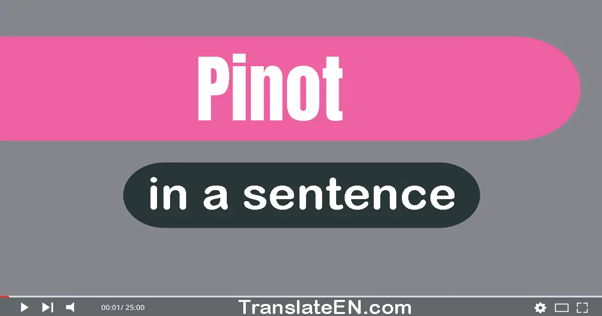 Use "pinot" in a sentence | "pinot" sentence examples